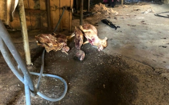South Korea closes biggest dog slaughterhouse complex