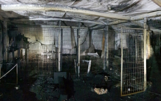 Fire at shelter kills 260 animals
