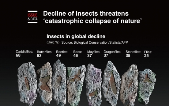 [Graphic News] Decline of insects threatens ‘catastrophic collapse of nature’