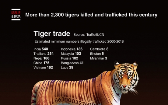 [Graphic News] More than 2,300 tigers killed and trafficked this century