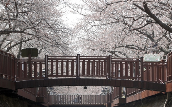 [Photo News] Spring, the season of flowers, blooms in Korea