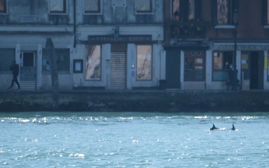 코로나 역설?…선박으로 붐비던 베네치아 석호에 돌고래 출현