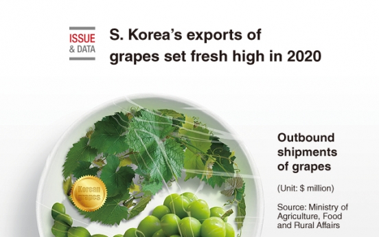 [Graphic News] S. Korea’s exports of grapes set fresh high in 2020