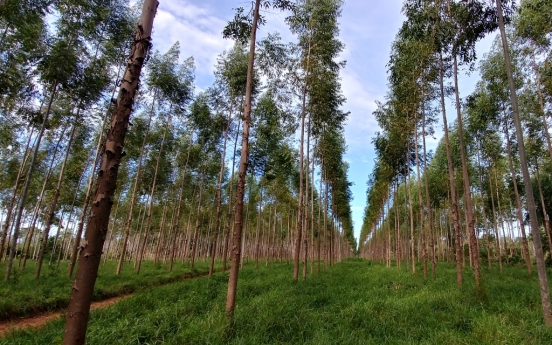 Forestry agency earns carbon credits from overseas efforts