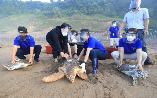 [Photo News] Sea Turtles Returning to Their Native Sea