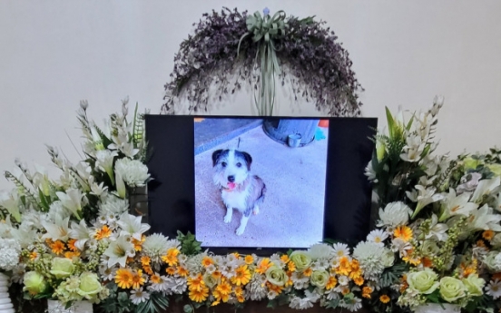 [Newsmaker] Hero dog’s death reignites debates on animal cruelty