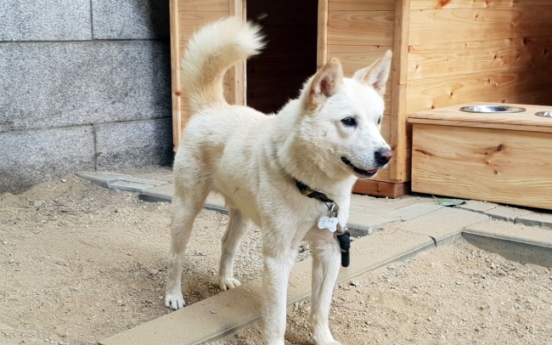 N.K. dogs gifted to Moon find new home in Gwangju zoo