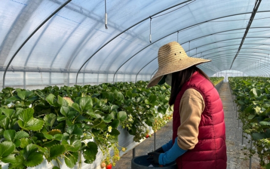 [New Neighbors] Going for broker: Farms struggle to keep seasonal foreign workers