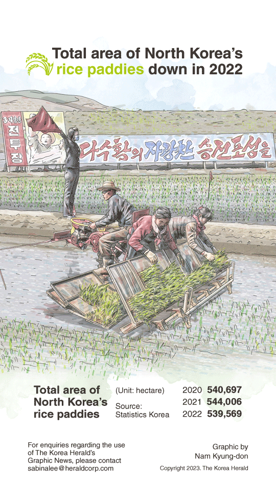 [Graphic News] Total area  of N. Korea’s rice paddies down in 2022