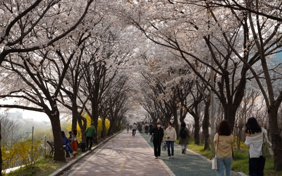 [One with Nature] Lesser-known cherry blossom streets in Seoul