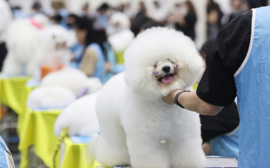 [Photo News] Top dogs