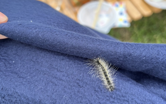Concerns grow over rise of fall webworm