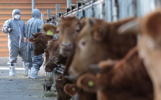 Nearly all cattle vaccinated against lumpy skin disease