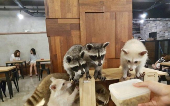 Korea bans cafes exhibiting exotic animals