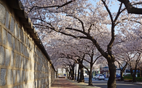 Gyeongju's Daereungwon to become car-free on Fridays, Saturdays in April