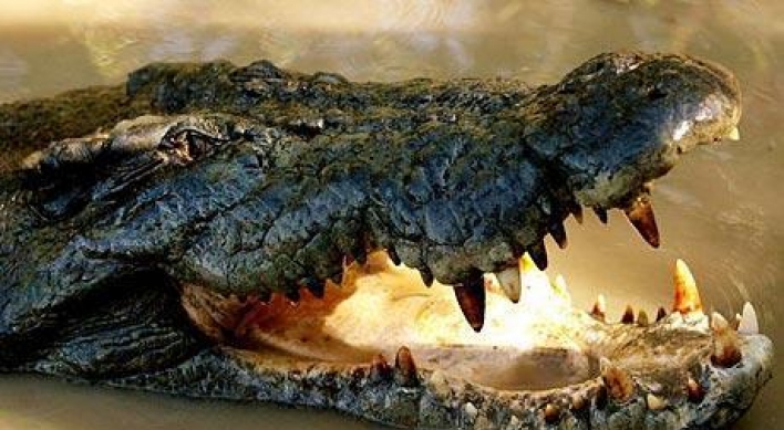 Phone keeps ringing in Ukrainian crocodile's tummy