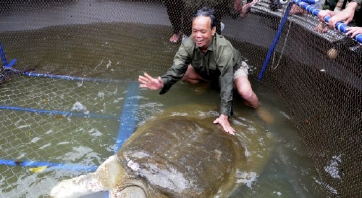 'Sacred' turtle captured in Vietnam lake