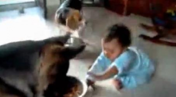 Netizens slam parents of baby vs. dog video