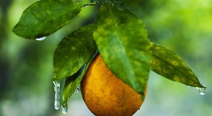 US steps up testing for fungicide in orange juice