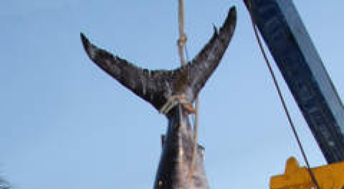 Florida crew lands 683-pound swordfish