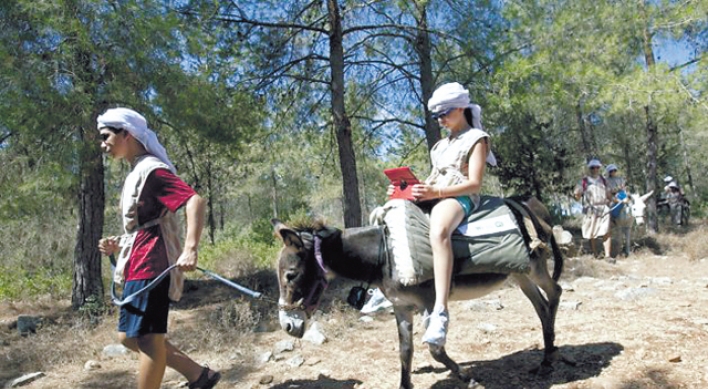 Israeli biblical park outfits donkeys with Wi-Fi