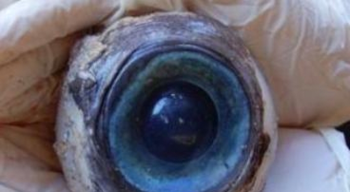 Mystery of giant eyeball solved