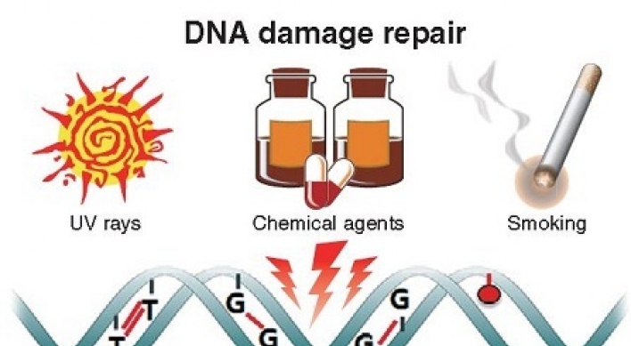 Korean scientists find ways to repair DNA damage