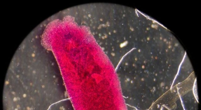 Parasite has links to self-harm