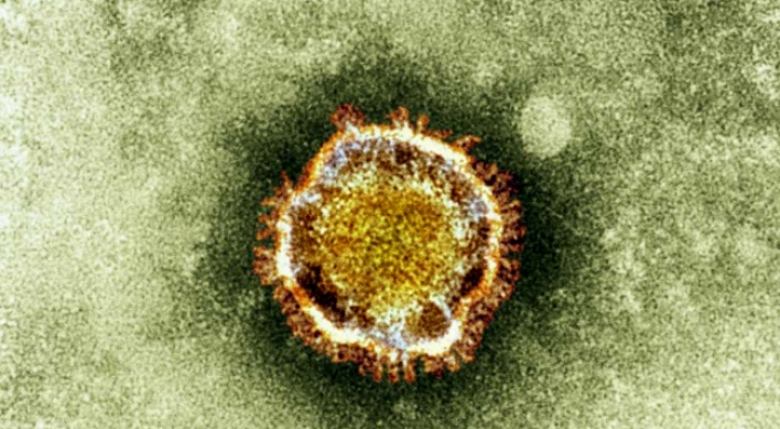 New virus may have spread between people