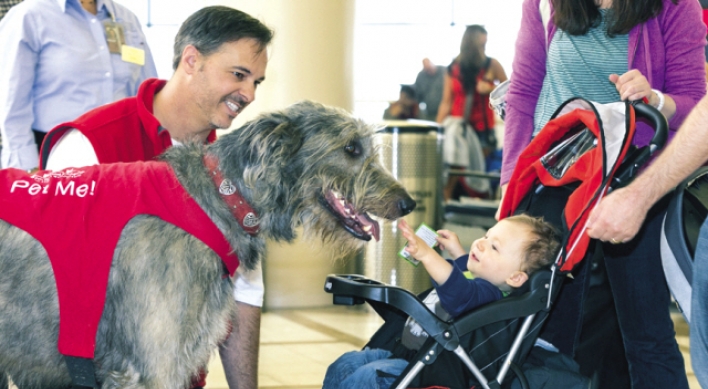 Dogs in U.S. airports seek out hugs, not drugs