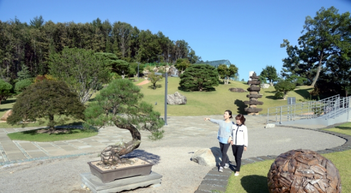 Paju getaway: a calming bonsai garden