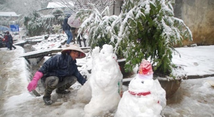 베트남에 눈사람이? 아열대 기후에 20cm 눈폭탄…주민들 ‘경악’
