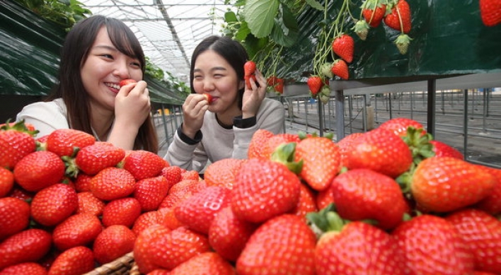 '딸기, 콜레스트롤 낮추는데 특효'  칼로리도 낮아