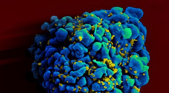 Studies show big promise for HIV prevention drug