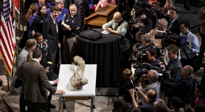 T. rex gets new home in Smithsonian dinosaur hall