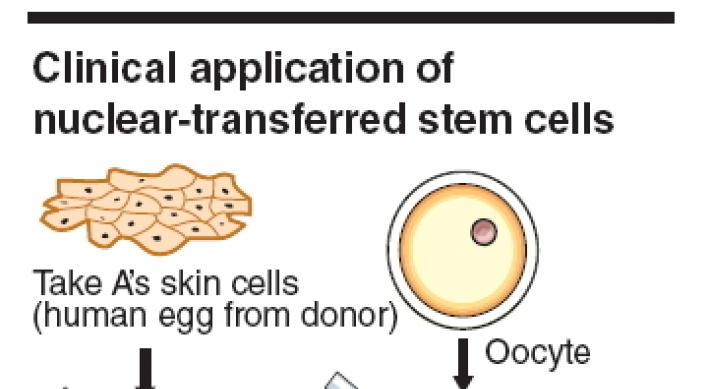 Stem cell research makes headway