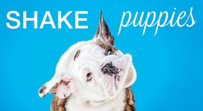 Puppies shake for memorable photos