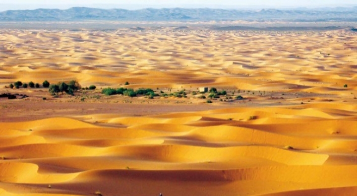 Sand dunes, camels and clay castles in Moroccan desert