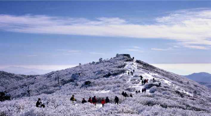 [Weekender] Head to Taebaeksan for frost, rime