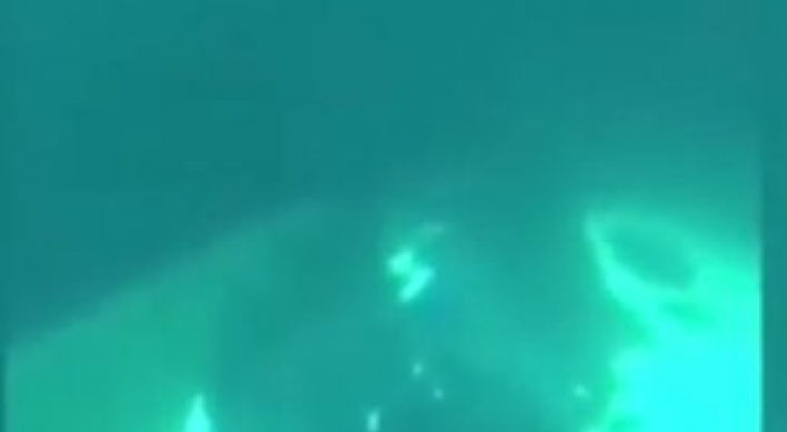 거대 고래 짝짓기 모습 포착 (영상)