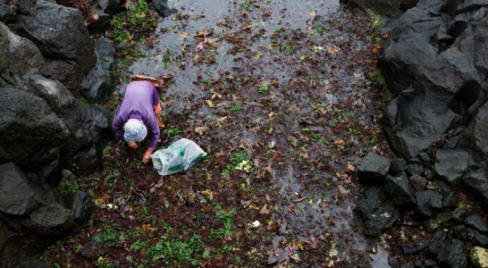 Japan to double imports of Korean-made dried seaweed