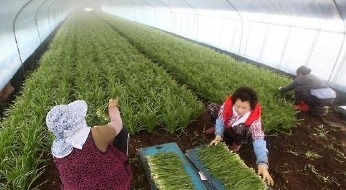 축산·청과물값 상승...농가살림 3년만에 나아졌다