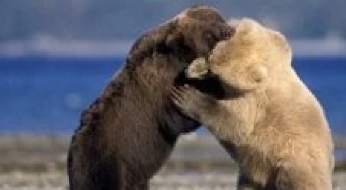 지상최대 북극곰 vs 회색곰...