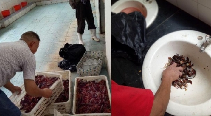‘하수구에서 건진 새우 판매’ 사진 공개
