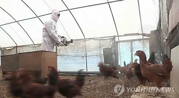 Korea to declare itself bird flu-free this week