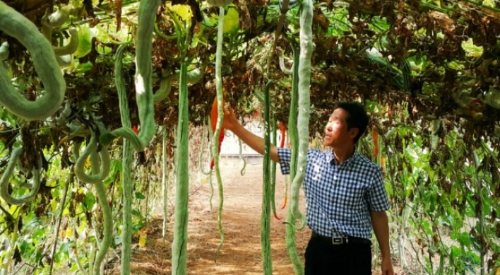 Korea preps for climate change with tropical fruits