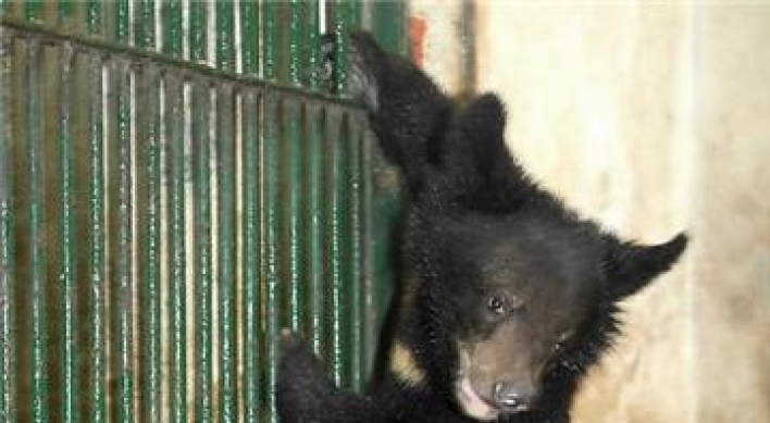 Asiatic black bear from N. Korea on 1st animal exchange program dies