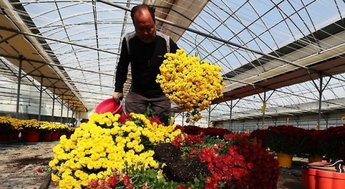 Anti-graft law hits flower sales hard