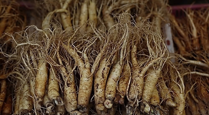 Vietnam becoming big market for Korean ginseng