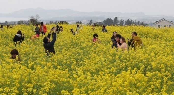 Tourism in Jeju remains strong despite THAAD woes